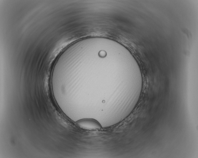 X0000112770098200909101559