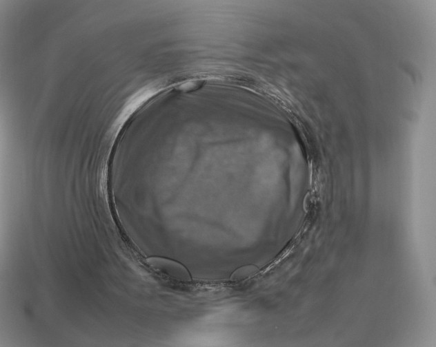 X0000112770099200909101559