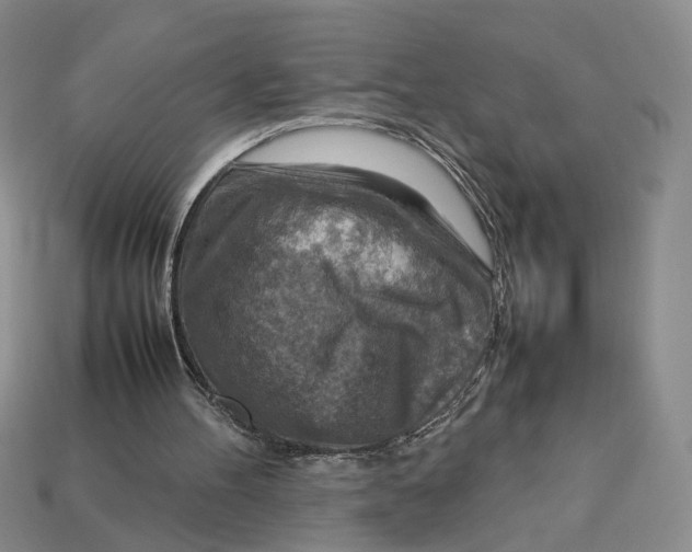 X0000112770100200909101559