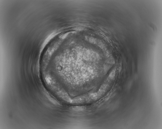 X0000112770102200909101559