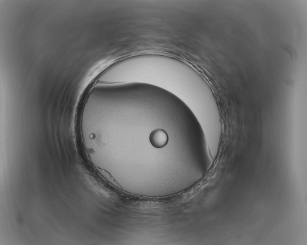 X0000112770104200909101559