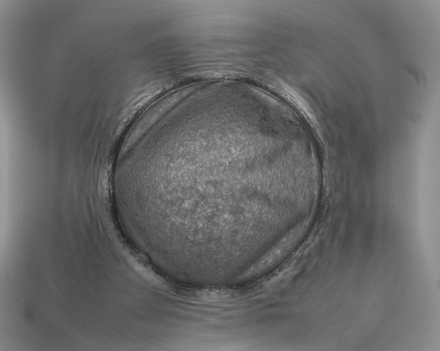 X0000112770105200909101559