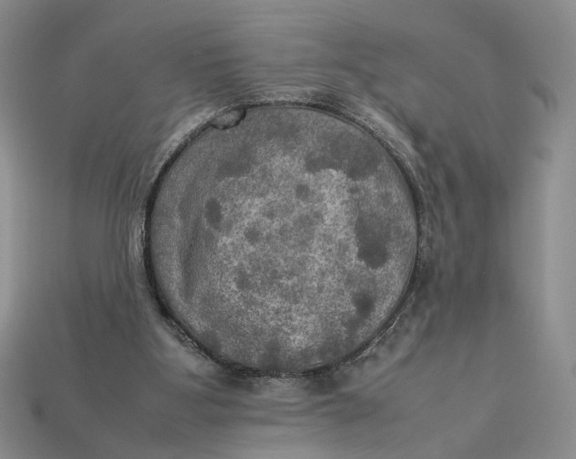 X0000112770107200909101559