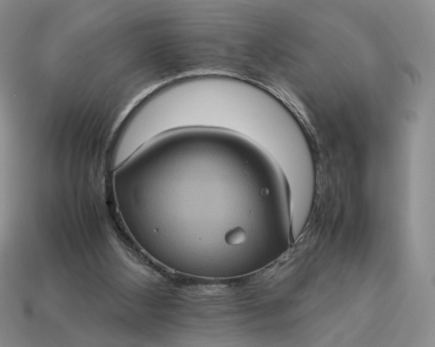 X0000112770108200909101559