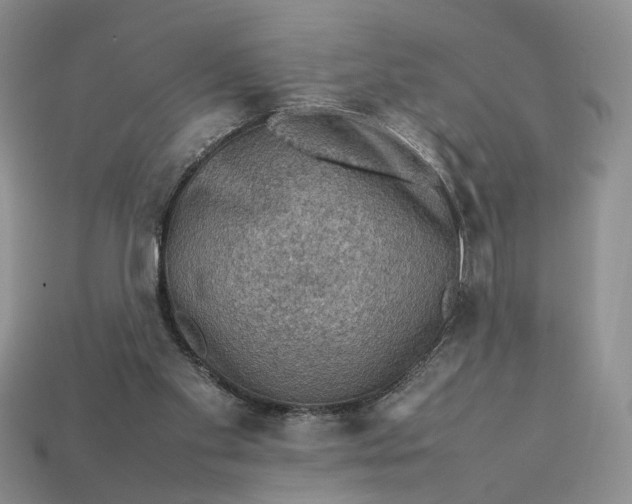 X0000112770109200909101559