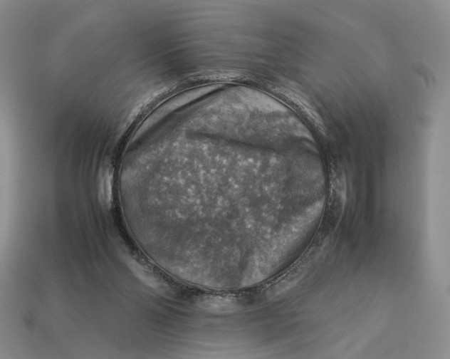 X0000112770110200909101559