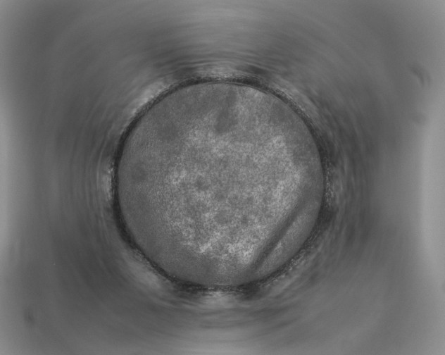 X0000112770111200909101559