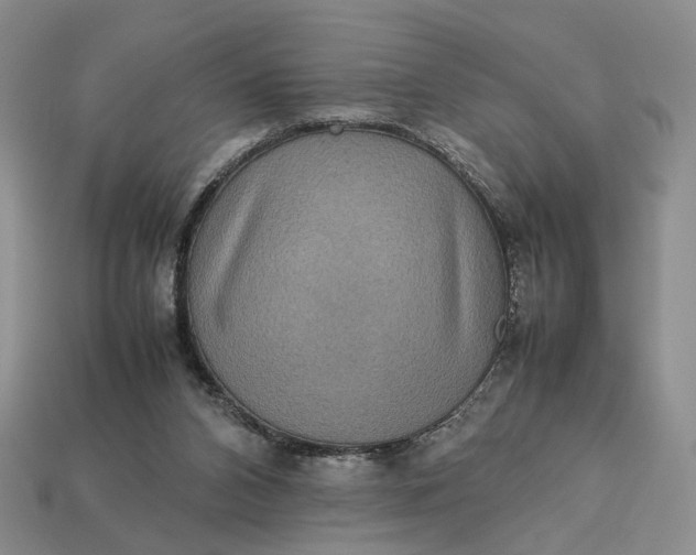 X0000112770112200909101559