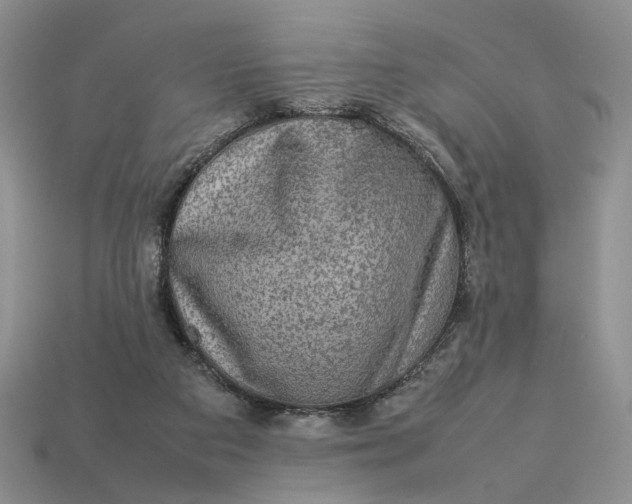 X0000112770113200909101559