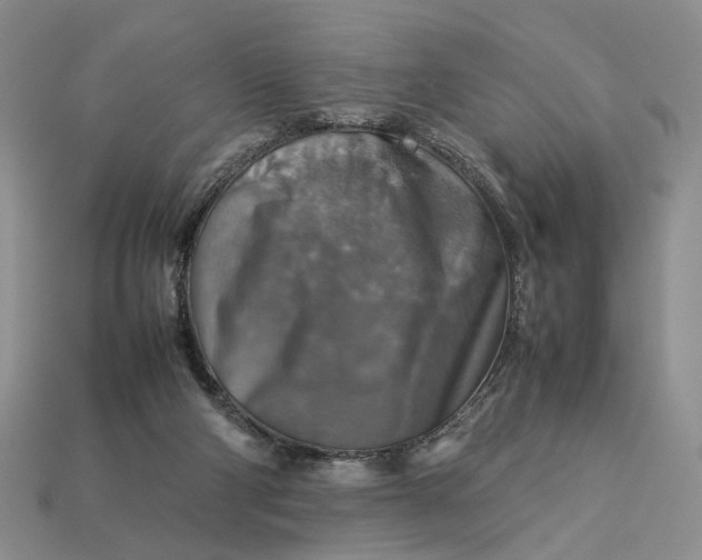 X0000112770114200909101559