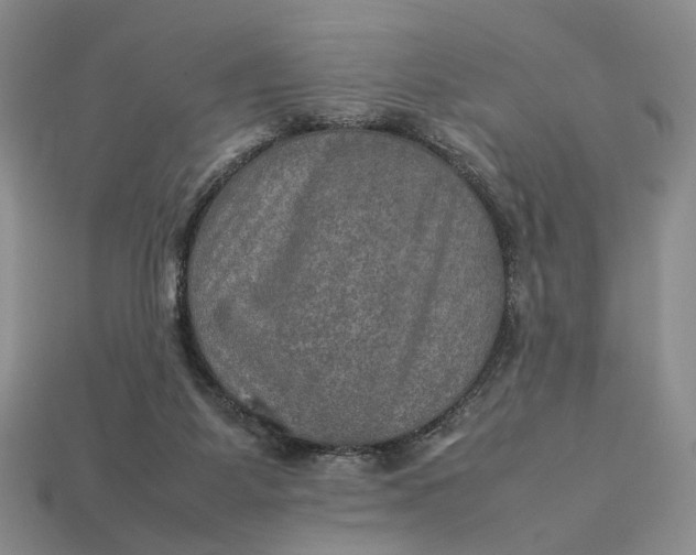 X0000112770115200909101559