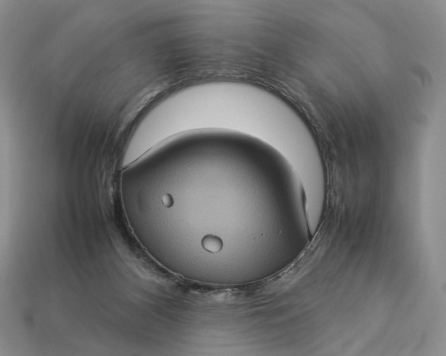 X0000112770116200909101559