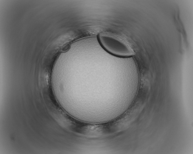 X0000112770117200909101559