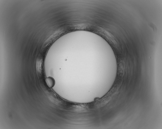 X0000112770118200909101559