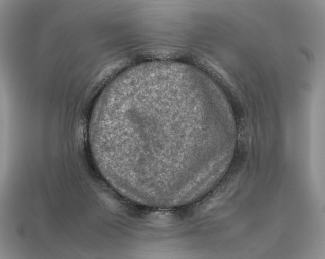 X0000112770119200909101559