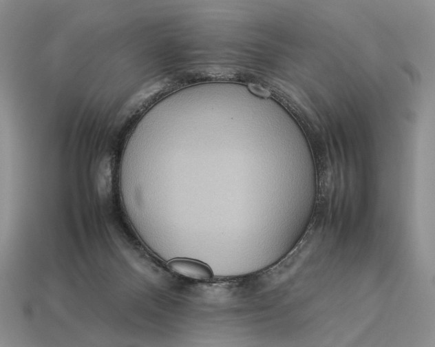 X0000112770120200909101559