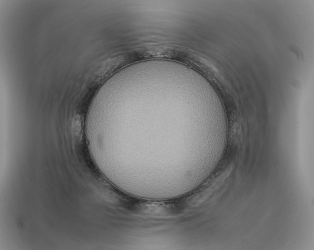 X0000112770121200909101559