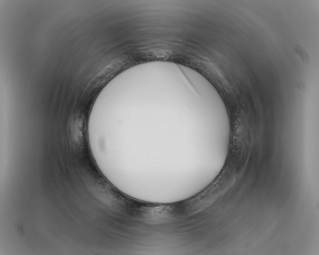 X0000112770122200909101559