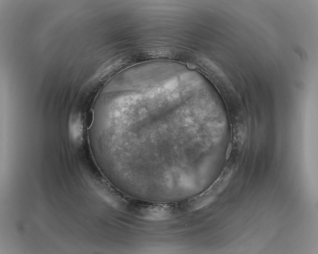 X0000112770124200909101559