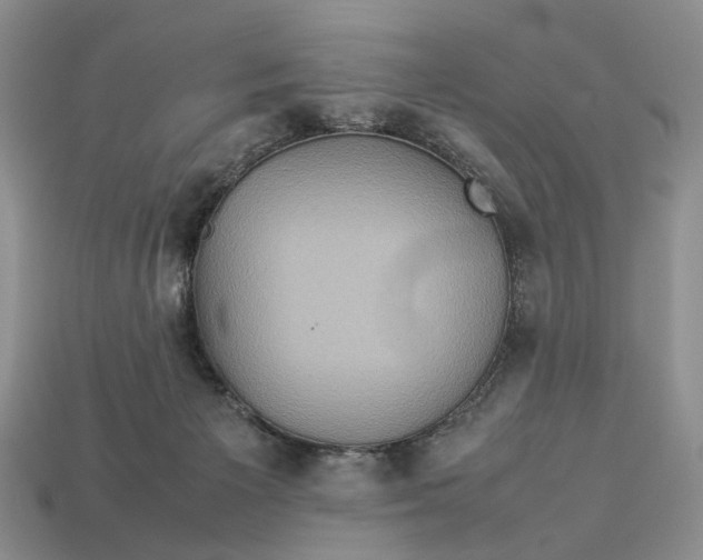 X0000112770125200909101559