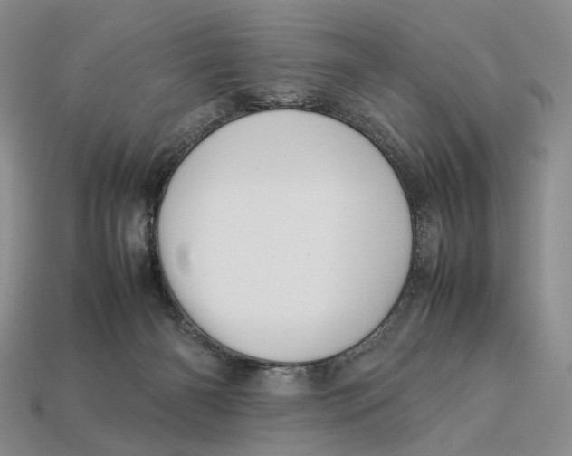 X0000112770126200909101559