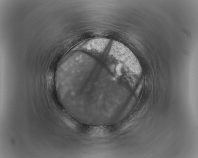 X0000112770127200909101559