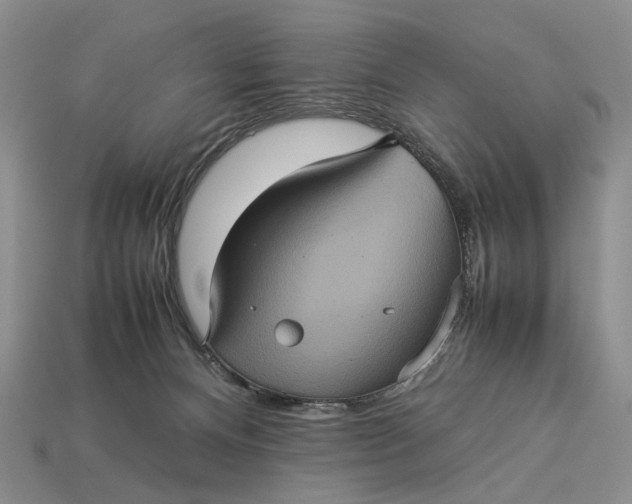 X0000112770128200909101559