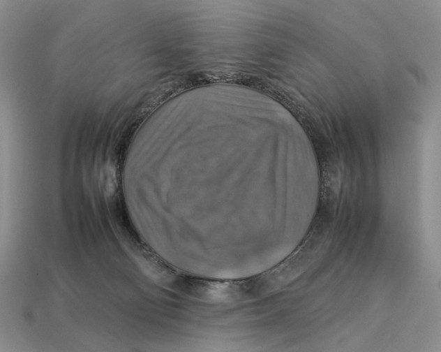 X0000112770130200909101559