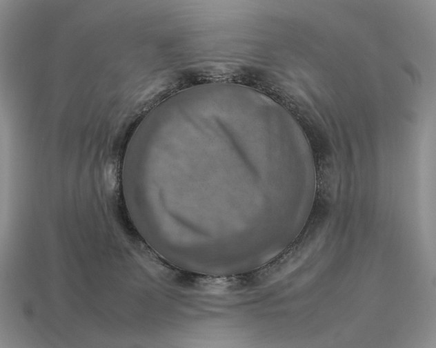 X0000112770131200909101559