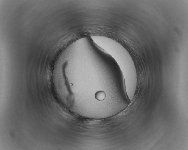 X0000112770132200909101559