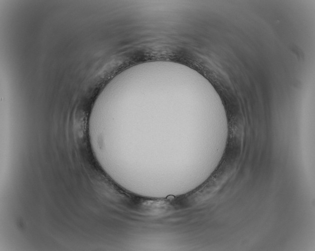 X0000112770133200909101559