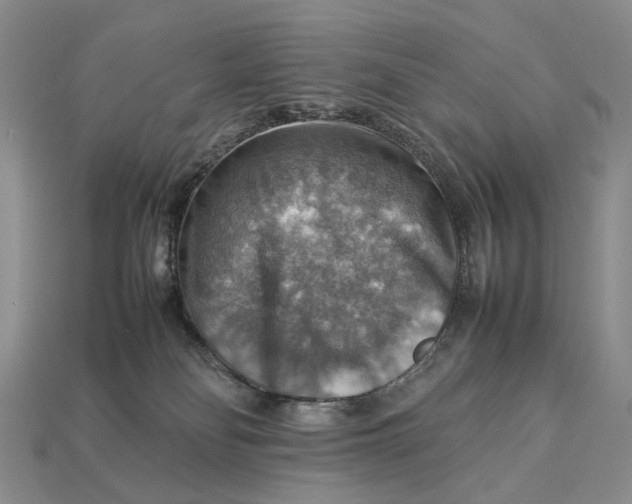 X0000112770134200909101559