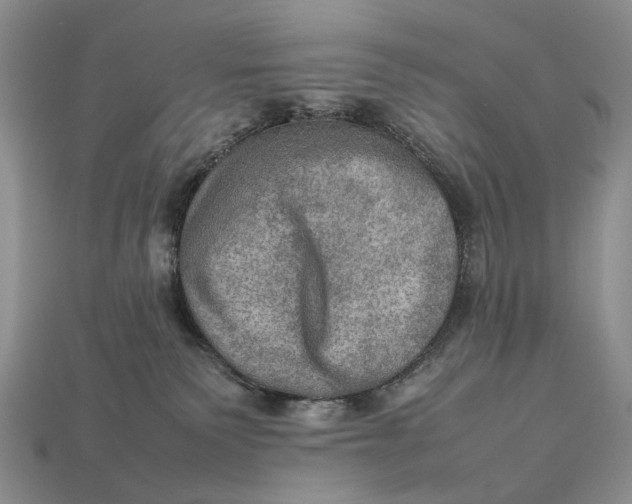 X0000112770135200909101559