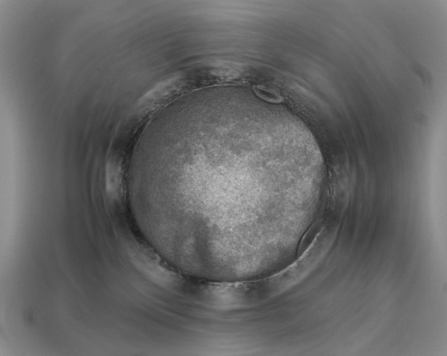 X0000112770136200909101559