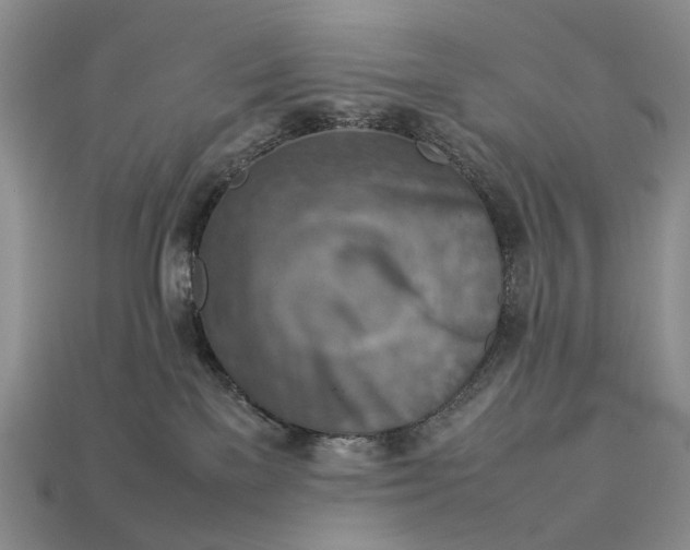 X0000112770137200909101559