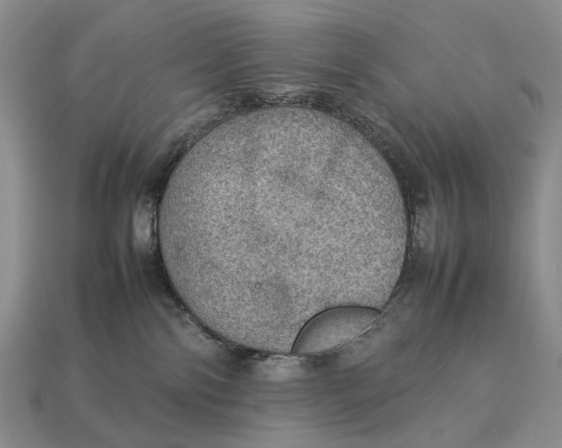 X0000112770138200909101559