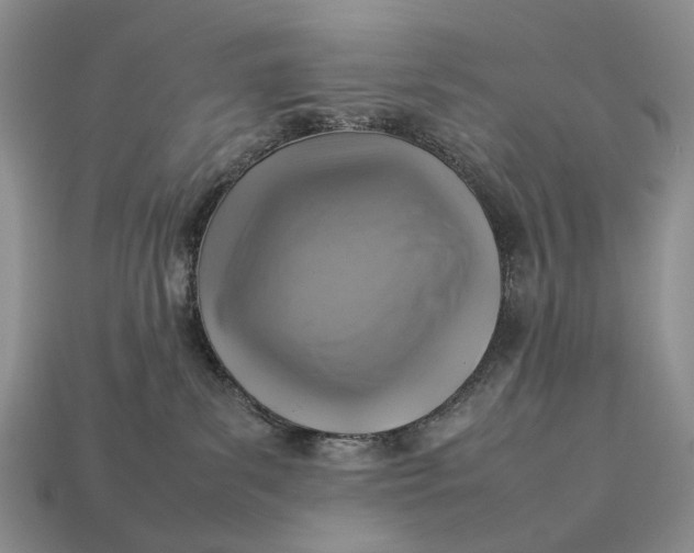 X0000112770139200909101559