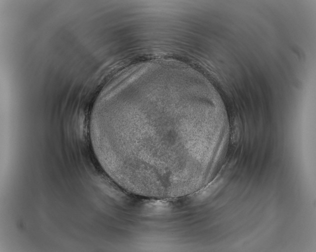 X0000112770140200909101559