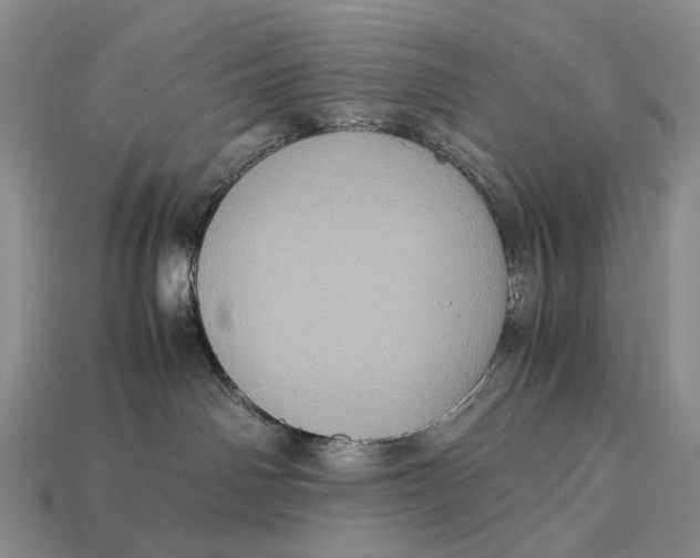 X0000112770142200909101559