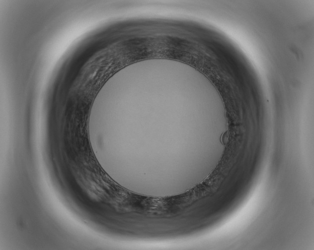 X0000112770143200909101559