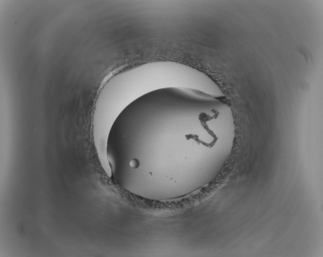 X0000112770144200909101559