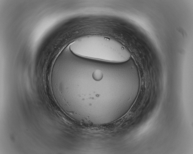 X0000112770146200909101558