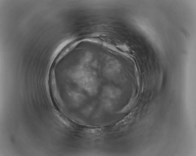 X0000112770147200909101558