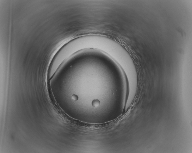 X0000112770148200909101558