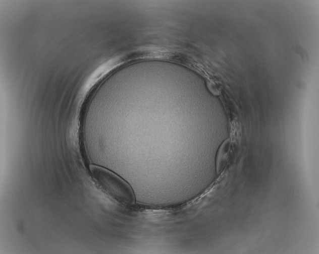 X0000112770150200909101558