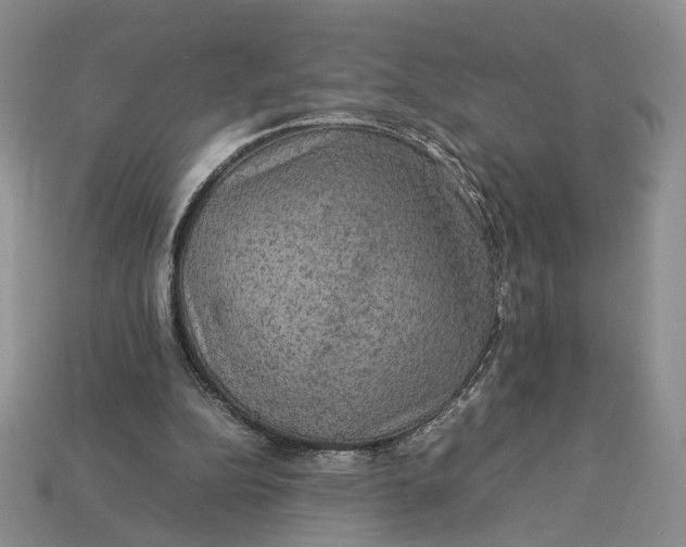 X0000112770152200909101558