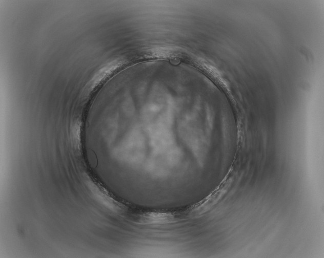 X0000112770154200909101558