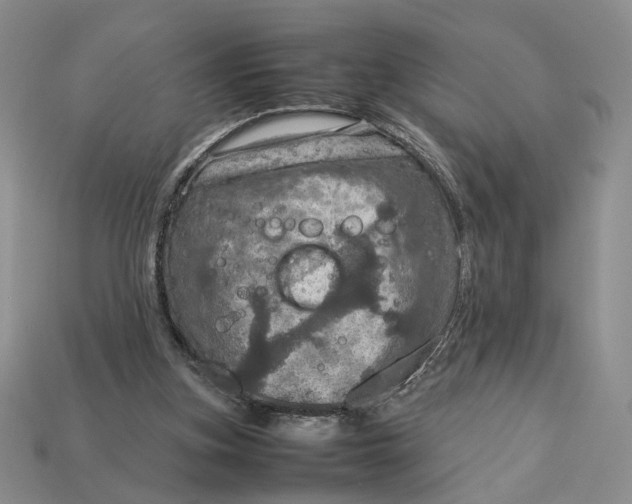 X0000112770155200909101558