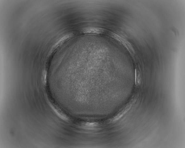 X0000112770157200909101558