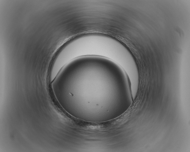 X0000112770160200909101558